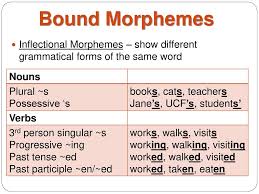 A morpheme that can only occur when bound to a root morpheme. An Introduction To Language Ppt Download