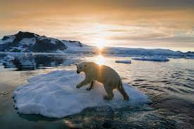 Download people from greenland stock photos. 22 Beautiful Photos Of Greenland