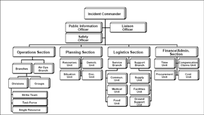 ics basic organization chart ics 100 level from fema