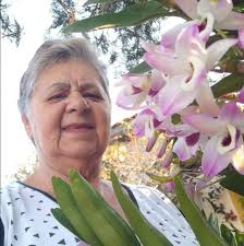 Não deixe que nada nem ninguém impeça teu caminhar. Se o que você tem é a  transparência dos atos e a retidão faz parte de teus objetivos. ______ Mirna  Rosa