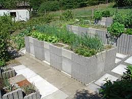 How to plant a raised bed garden. Raised Bed Gardening Wikipedia