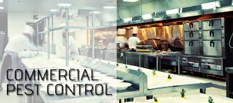 Since 1995, alco nj animal and pest control has been providing customer satisfaction with our efficient commercial rodent contol in cedar knolls, nj. Better Care Pest Control Services Better Care Better Lives