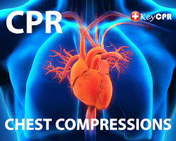 Image result for Chest Compressions