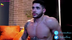 Vladimir barbu 1 - Famosos Nus