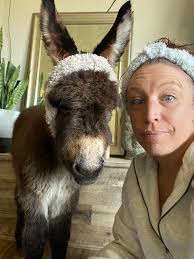 The fact the UPS driver didn't even bat an eyelash at the donkey that came  out of my house makes me wonder …, That man's been through it in life 🤣