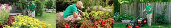 Explore other popular home services near you from over 7 million businesses with over 142 million reviews and opinions from yelpers. Lawn Cutting Grass Cutting Lawn Maintenance Services