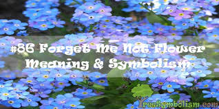 Same day delivery & 20% off! 86 Forget Me Not Flower Meaning Symbolism