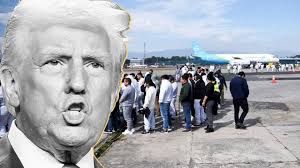 Deportación de todos los migrantes no es práctico para EU': William Murillo 