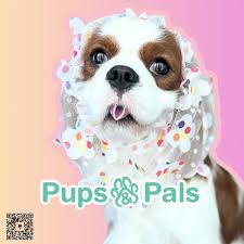 Pups & Pals