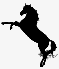 Magical unicorn in a magnificent wreath of roses standing on hind legs color and outlined picture for coloring book on white background. Arabian Horse Silhouette Horse On Hind Legs Silhouette Transparent Png 897x1000 Free Download On Nicepng