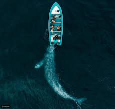 25 صورة محيرة من مصوري ناشونال جيوغرافيك رائج national geographic photography national geographic national geographic photographers