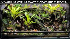 Epic Vivarium With A Water Feature Bioactive Tutorial In 2020 Vivarium Bioactive Vivarium Water Features