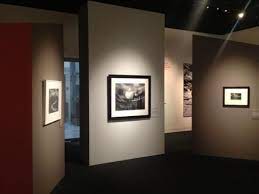 Best Art Gallery Lighting Museo Allestimento Ambiente