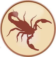 Resultado de imagem para os signos do zodiaco