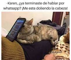 Pin En Gracioso