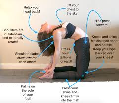 In camel pose you use a deep backbend and front body opener, so therefore we need to ignite your core fully in order to support your back bend and encourage a deeper range of motion from your. Ustrasana Camel Pose Dani Lieberman