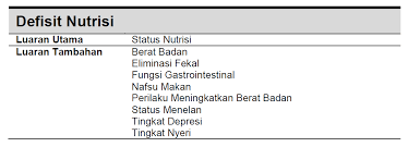 Slki ( standar luaran keperawatan indonesia 2019) 4. Https Www Umla Ac Id Download File Materi Konsep Slki Dpp Ppni Rev Pdf