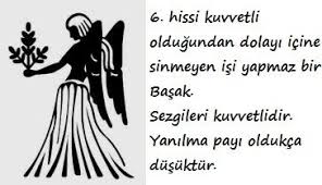 Ayaz Abdullayev Adli Kullanicinin Fotografcilik Panosundaki Pin 2020 Basak Burcu Basak Burclari Burclar