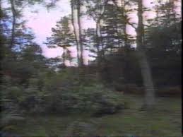 Christopher Robin Milne In Cnn Ashdown Forest Segment Christopher Robin Milne Christopher Robin Cnn Headlines