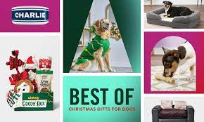 A Dog For Christmas 2021 Happy Howlidays The Best Dog Christmas Gifts Of 2021 Bechewy