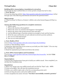A) compare/contrast the process of dna replication to the process of protein synthesis. Virtual Labs Class Set Building Dna Transcription Translation