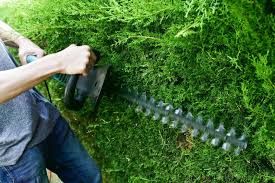 Als gartensäge werden alle sägen bezeichnet, die im garten zum einsatz kommen können. Elektrische Gartensagen Welche Gibt Es