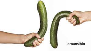 remede de grand mere pour durer au lit afrikaherbs