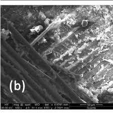It use deep learning technology for new pixels estimation. Pdf Fractography Analysis Of Naturally Woven Coconut Sheath Reinforced Polyester Composite A Novel Reinforcement