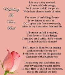 Unfolding The Rosebud Rose Poems Poems Inspirational Poems