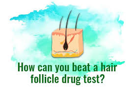 how to p a hair follicle test