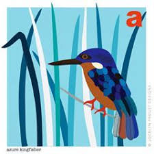 Birds That Start With Blue Day 27 Of The100dayproject And The Start Of A New Alphabet This One Will Be Based On One Of My Favourite Themes Aust Australian Birds Drawing Prints Jocelyn