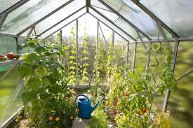 The diy big cheap beautiful greenhouse this greenhouse is a beautiful sight to see. How To Build A Greenhouse Diy Greenhouse
