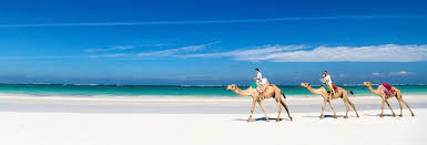 We leave early in the morning fr om marrakech towards tizi n'tichka in the high atlas mountains. Camel Ride In Djerba Lagoon Book Online At Civitatis Com