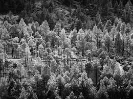 Image result for Delta 100