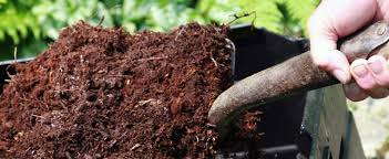 The art of selecting the perfect garden mulch! How To Lay Mulch A Step By Step Guide The Dirt Blog Stauffers