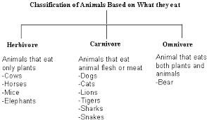 Cats are obligate carnivores, meaning they need to eat meat to survive. English Power 2nd Grade Animals Elementary Science First Grade Science Homeschool Science