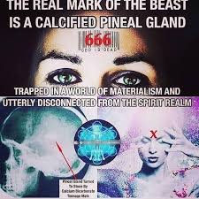 A magickal herb long associated with the fairies. Open Your Anal Chakras Bois We Have Pineal Glands To Decalcify Religiousfruitcake
