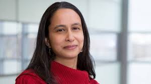 What singing fruit flies can tell us about quick decisions