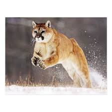 Pin On Galaxy Wallpaper