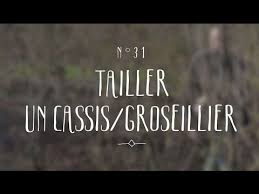 Epingle Sur Tailles Diverses Arbres Etc
