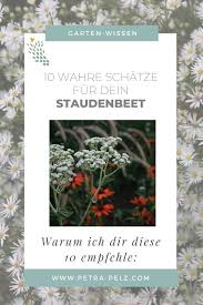 Meine Tipps Fur Dein Staudenbeet In 2020 Staudenbeet Pflanzen Pflanzplan