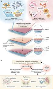 Fig 1 Technology Driven Layer By Layer Assembly Of Nanofilms Science