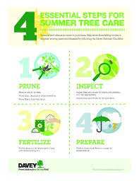 Summer Tree Service Checklist Davey Tree Summer Trees Checklist Tree Care