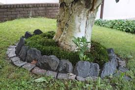 305x305, 610x305, 400x400, 600x600, 300x300, 600x300: Wolfgang Heinrich S Weblog Abiturreden Aus Ganz Deutschland