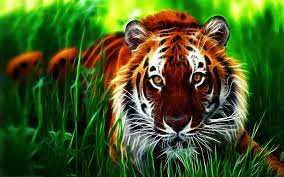 Hdwallpapers.net is a place to find the best wallpapers and hd backgrounds for your computer desktop (windows, mac or linux), iphone, ipad. Beautiful Animal Wallpapers Hd Pictures One Hd Wallpaper 1920 1200 Animal Wallpaper Hd Desktop 63 Wallpapers A Tiger Wallpaper Tiger Pictures Tiger Images