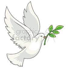 White Dove Flying With Olive Branch In Its Mouth Dove Flying Dove Drawing White Dove Tattoos