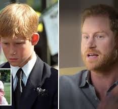 Prince Harry 'angry' at British public for mourning Diana saying 'you never  even met her'