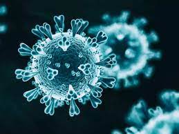 Get full coverage of the coronavirus pandemic including the latest news, analysis, advice and explainers from across the uk and around the world. Telangana Corona Cases Telangana Reports 238 New Covid 19 Cases Hyderabad News Times Of India