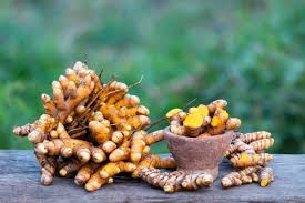 We would love to see. Turmeric For Cats And Dogs Advice Guidance And Support
