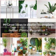 Small indoor plants are perfect for styling tiny spaces in need of some green! 99 Great Ideas To Display Houseplants Indoor Plants Decoration Balcony Garden Web